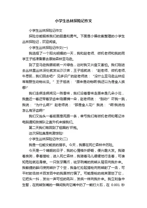 小学生丛林探险记作文