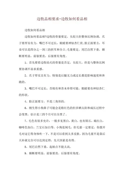 边牧品相要求-边牧如何看品相