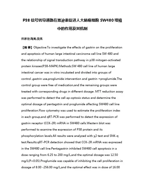 P38信号转导通路在胃泌素促进人大肠癌细胞 SW480增殖中的作用及其机制