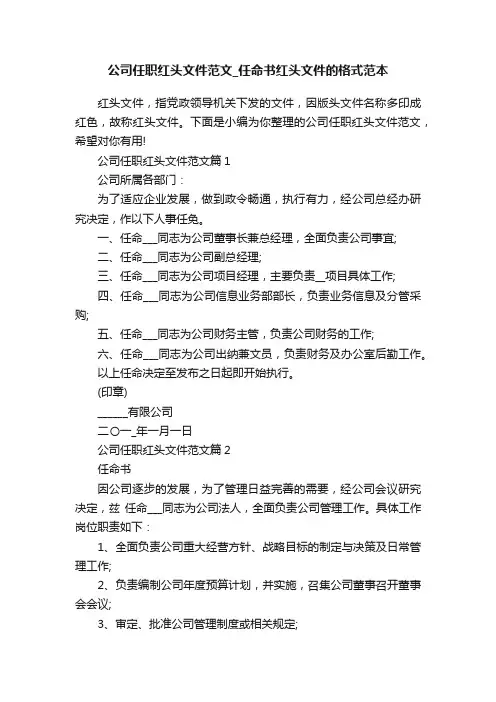 公司任职红头文件范文_任命书红头文件的格式范本