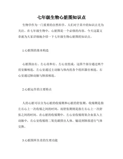 七年级生物心脏图知识点