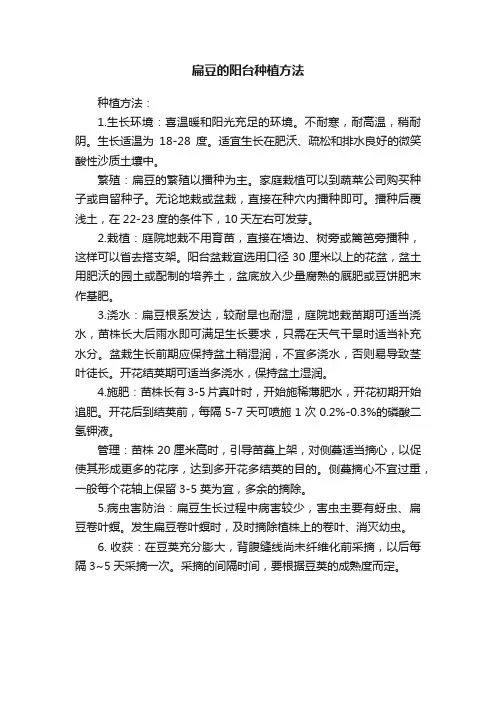 扁豆的阳台种植方法