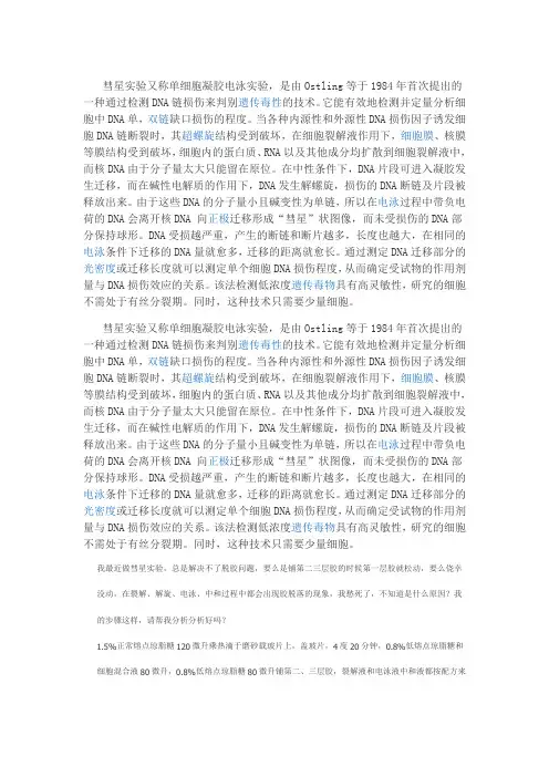 彗星实验又称单细胞凝胶电泳实验