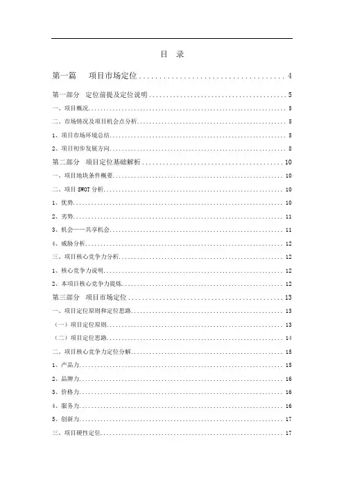 某某项目定位及产品设计建议