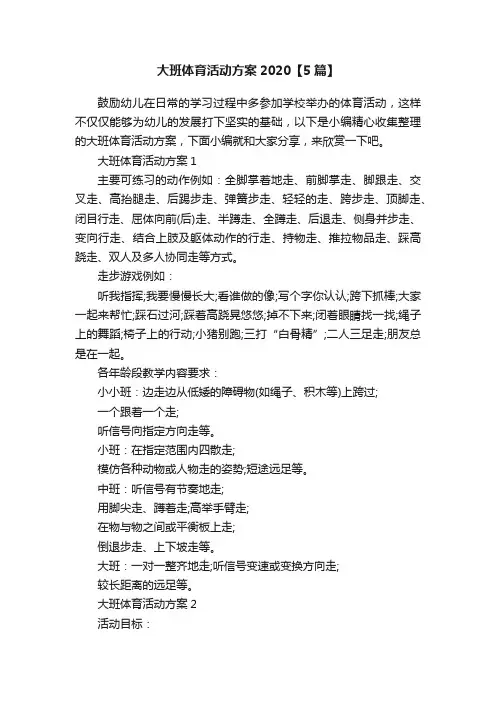 大班体育活动方案2020【5篇】