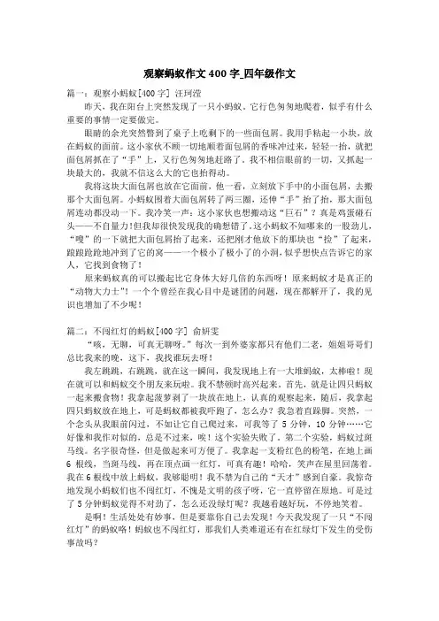 观察蚂蚁作文400字_四年级作文