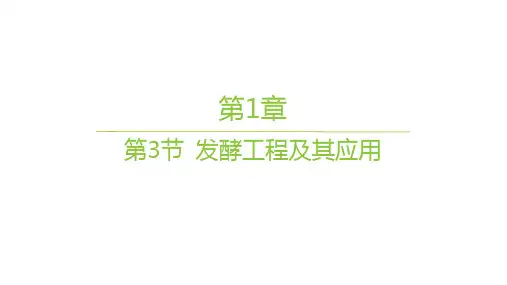 人教版高中生物学选择性必修3生物技术与工程作业课件 第1章 第3节 发酵工程及其应用