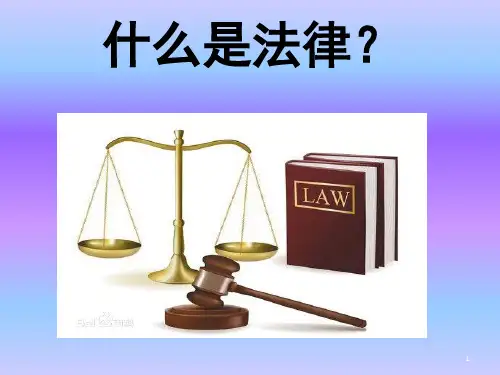 小学生普法宣传(课堂PPT)