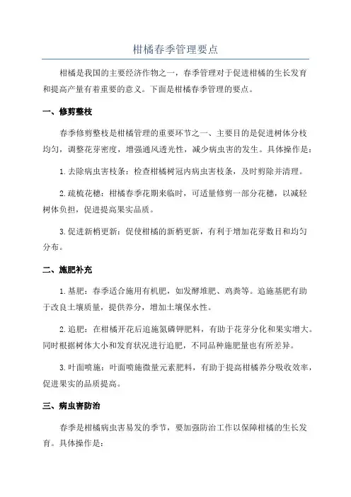 柑橘春季管理要点