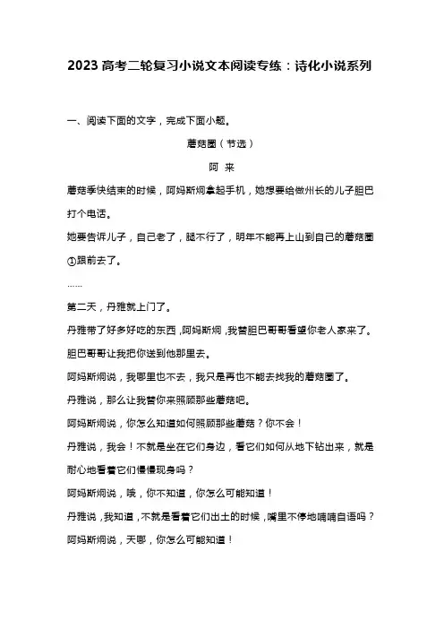 2023高考二轮复习小说文本阅读专练：诗化小说系列
