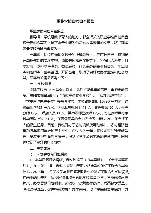 职业学校自检自查报告