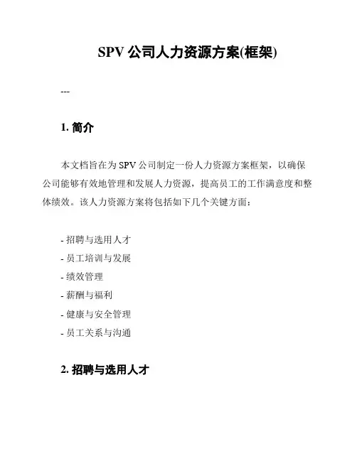 SPV公司人力资源方案(框架)