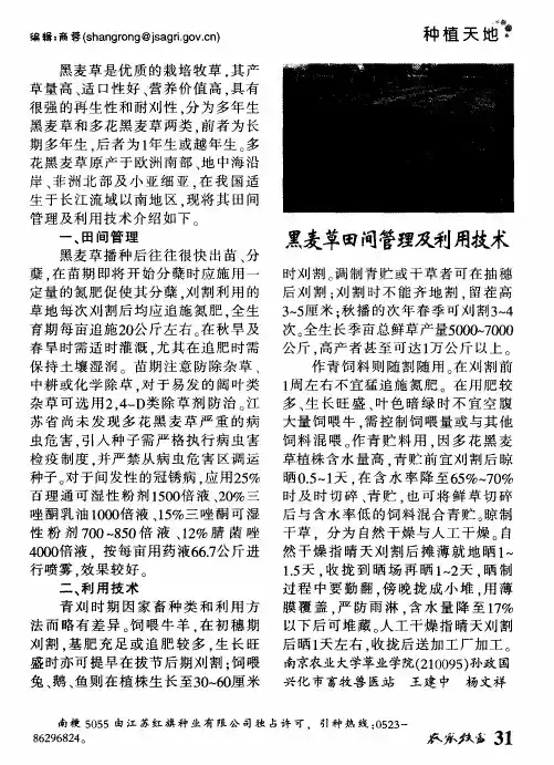 黑麦草田间管理及利用技术