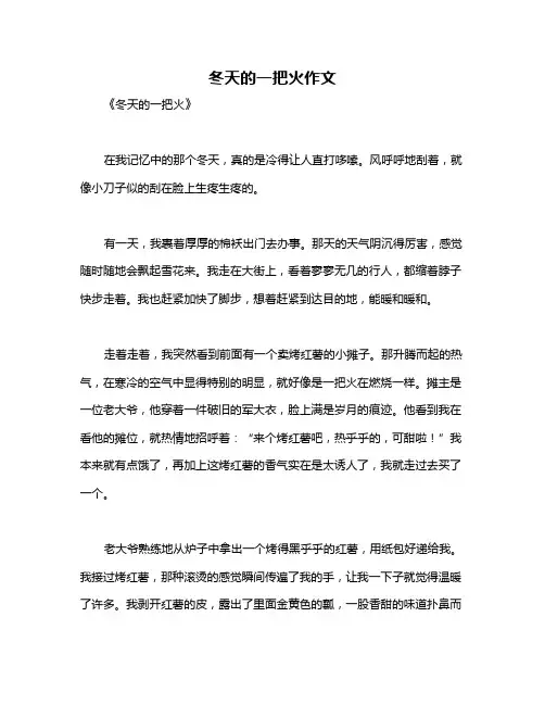 冬天的一把火作文