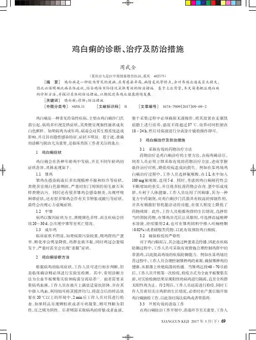 鸡白痢的诊断、治疗及防治措施
