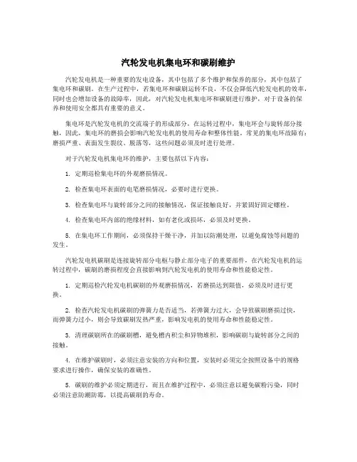 汽轮发电机集电环和碳刷维护