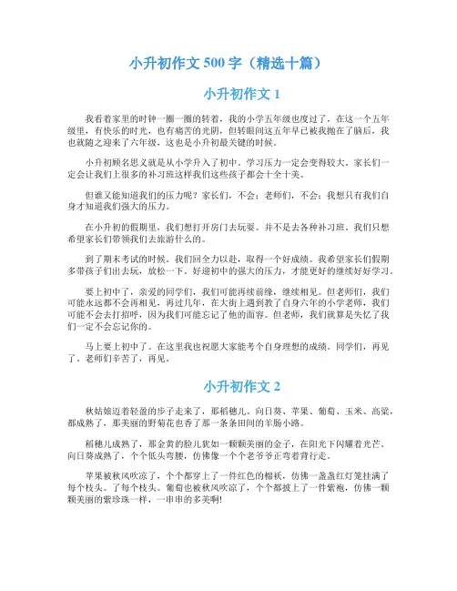 小升初作文500字(精选十篇)