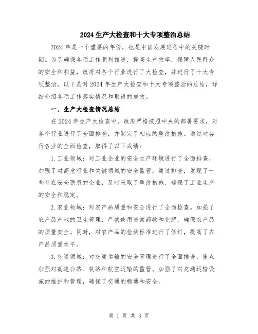 2024生产大检查和十大专项整治总结