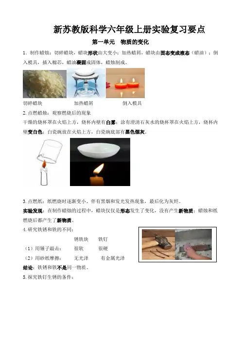 新苏教版科学六年级上册实验复习知识点汇总
