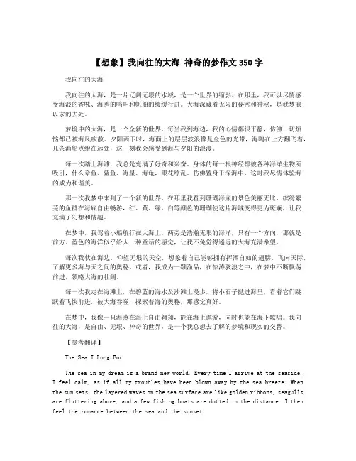 【想象】我向往的大海 神奇的梦作文350字