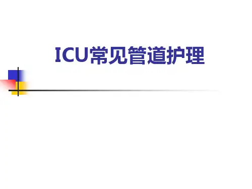 ICU常见管道护理PPT课件