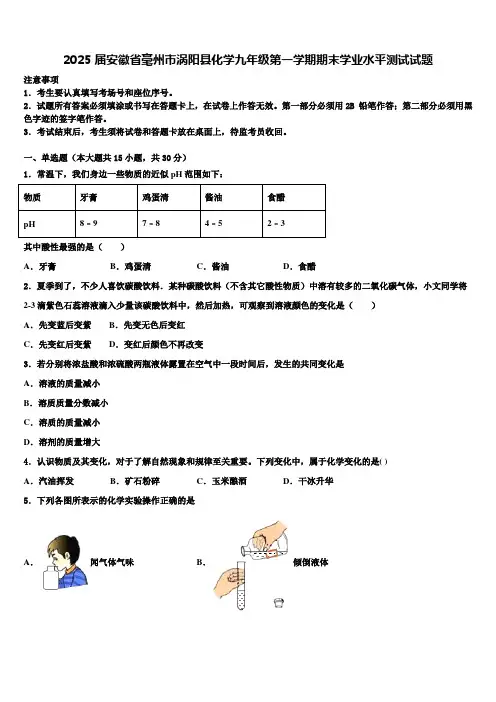 2025届安徽省毫州市涡阳县化学九年级第一学期期末学业水平测试试题含解析