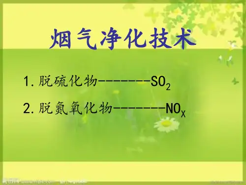 烟气净化技术