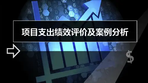 项目支出绩效评价及案例分析