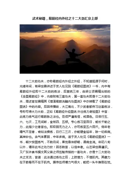 武术秘籍，易筋经内外经之十二大劲汇宗上部