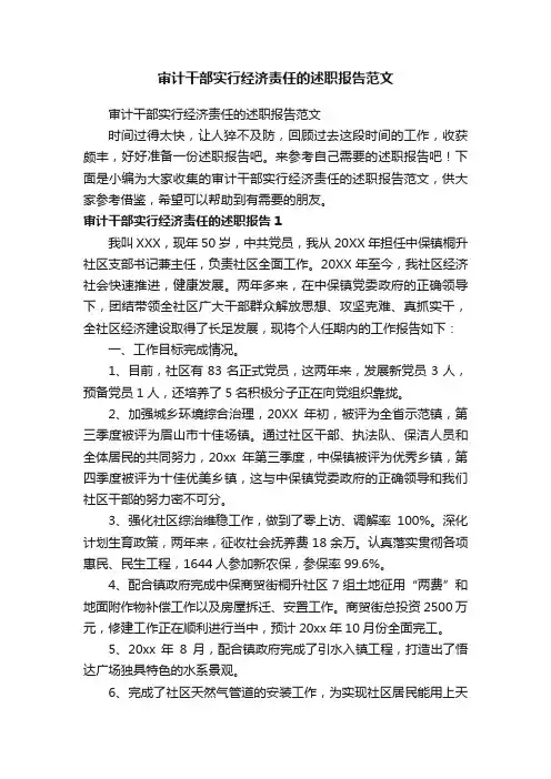 审计干部实行经济责任的述职报告范文