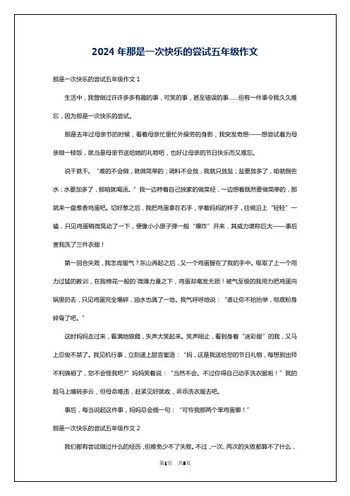 2024年那是一次快乐的尝试五年级作文