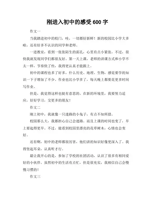 刚进入初中的感受600字