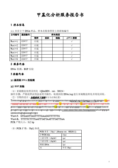 医院6个样品wnt4基因甲基化测序分析报告   甲基化分析服务报告书