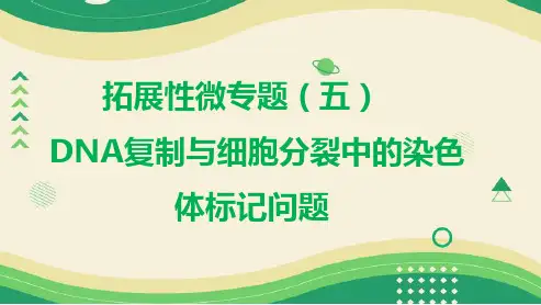 高三一轮复习生物拓展性微专题(五)DNA复制与细胞分裂中的染色体标记问题课件