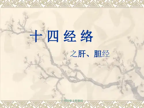十四经络之肝胆经 ppt课件