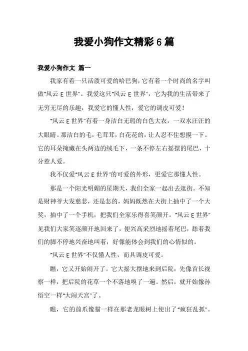 我爱小狗作文精彩6篇