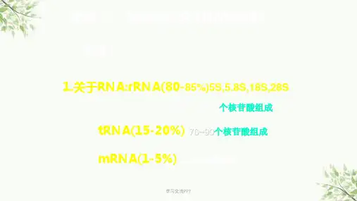动物组织中总RNA的提取课件