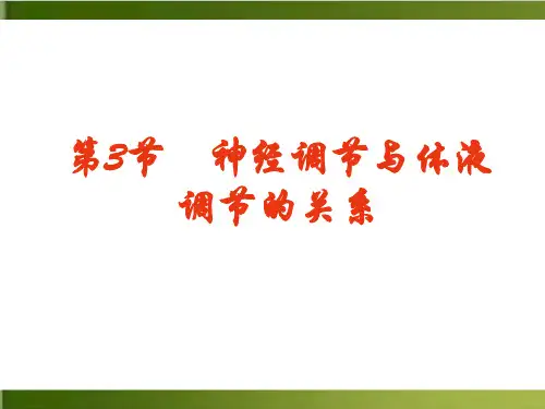 高中生物《神经调节》PPT课件完美新人教版1