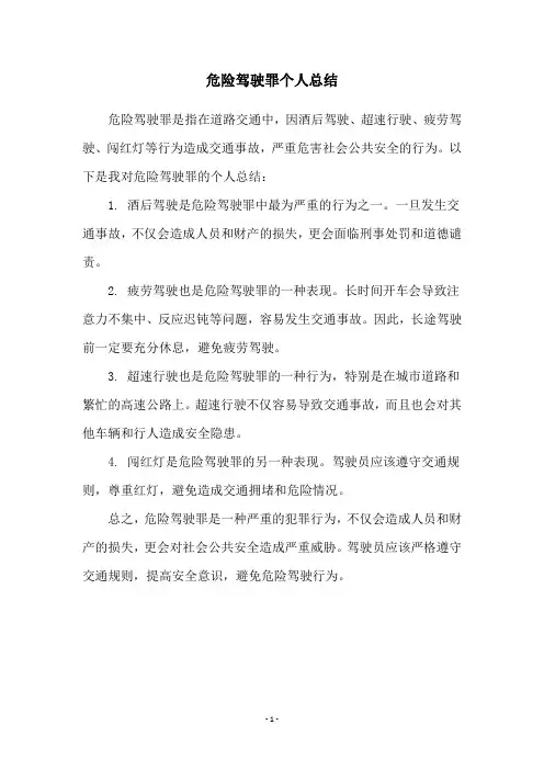 危险驾驶罪个人总结