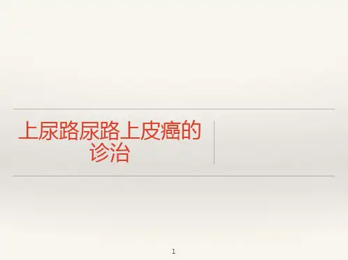 上尿路尿路上皮癌的诊治关键PPT课件