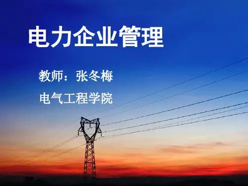 现代电力企业经营管理概论.pptx