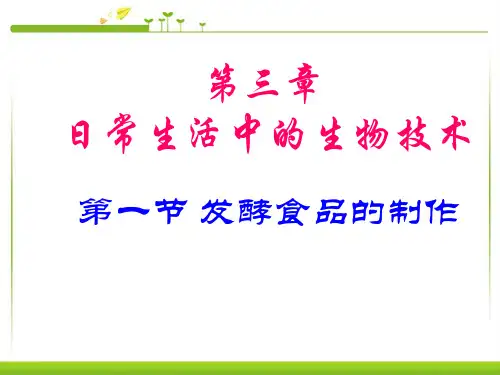 《发酵食品的制作》教学课件1 冀教版