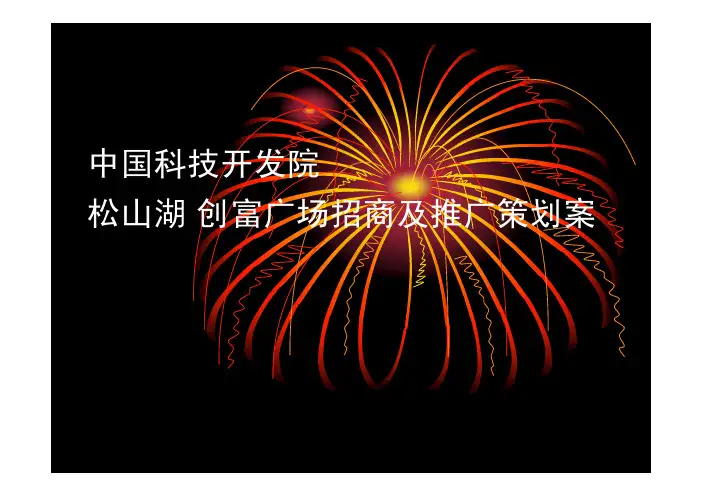 东莞松山湖项目招商及营销推广方案