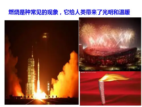 常见的化学反应—燃烧