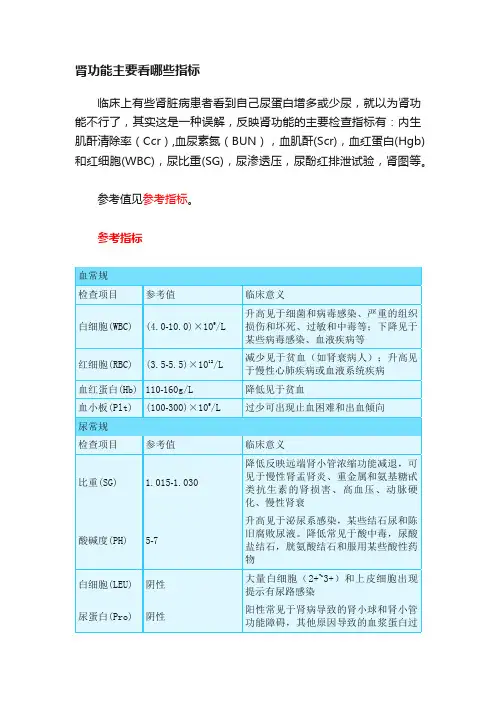 肾功能主要看哪些指标