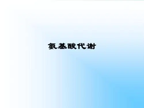 《氨基酸代谢》PPT课件