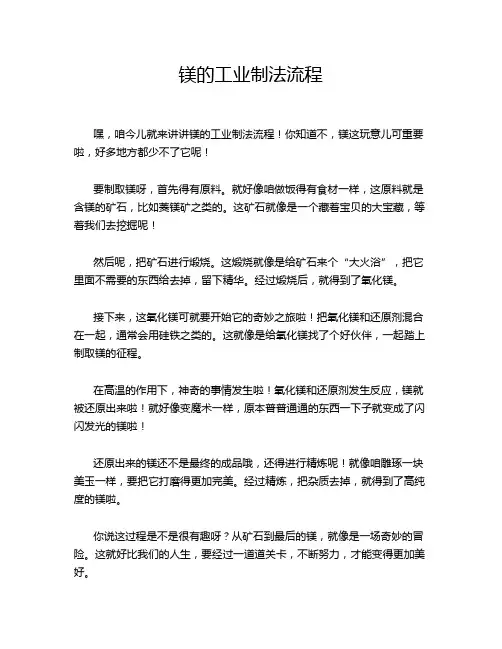 镁的工业制法流程