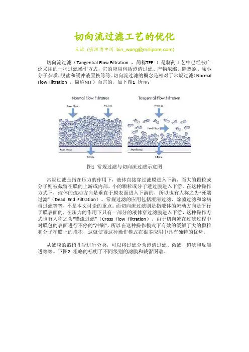 切向流过滤工艺的优化