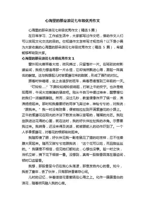 心海里的那朵浪花七年级优秀作文（精选5篇）