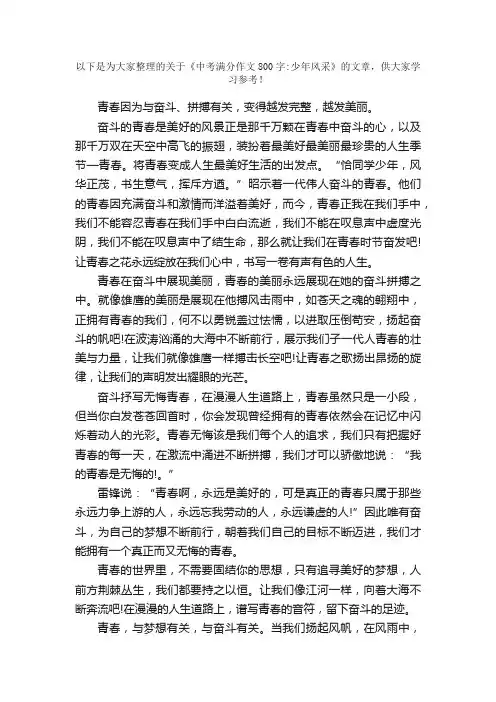 中考满分作文800字：少年风采